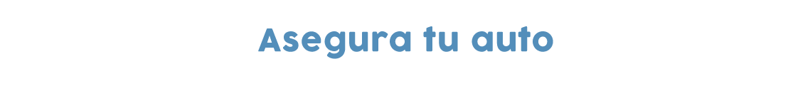 asegu.png